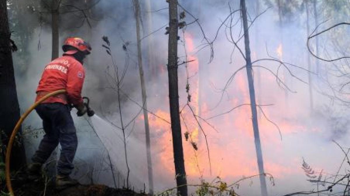 Peste 12 hectare de vegetaţie, cuprinse de incendiu între Răşinari şi Păltiniş, în judeţul Sibiu