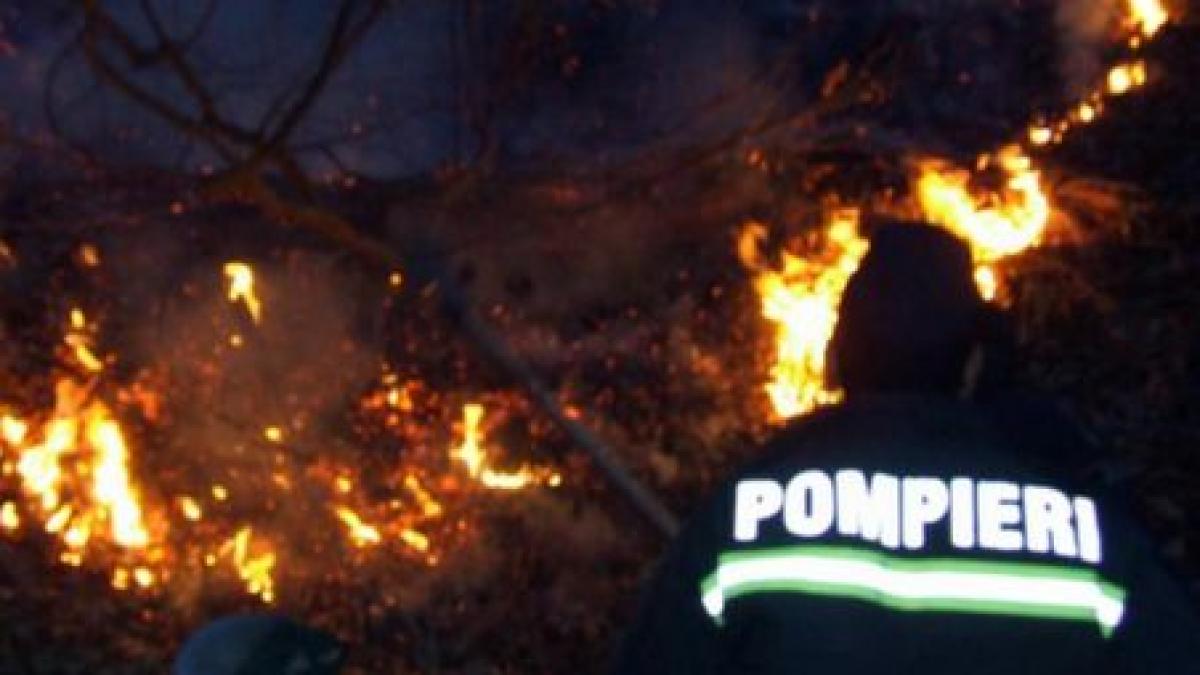 Incendiu de vegetaţie în Munţii Şureanu: Peste 15 hectare de pădure, mistuite în flăcări