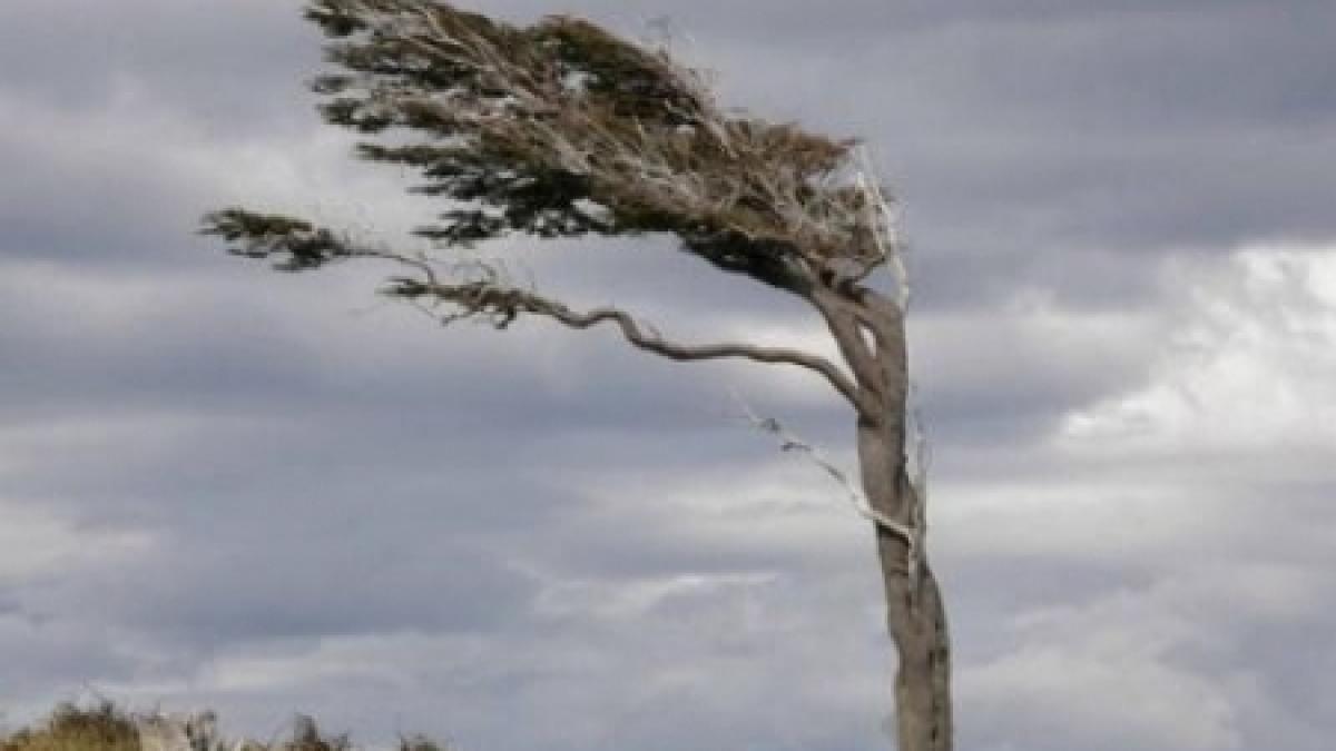 Avertizare de vânt puternic pentru Dobrogea şi Muntenia, valabilă până la ora 14.30