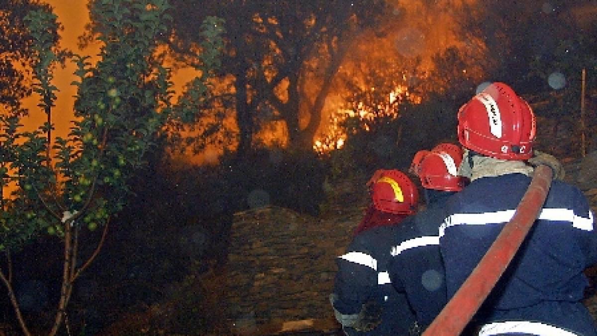 Incendiu de pădure în Munţii Rodnei. Focul a cuprins o suprafaţă de circa zece hectare