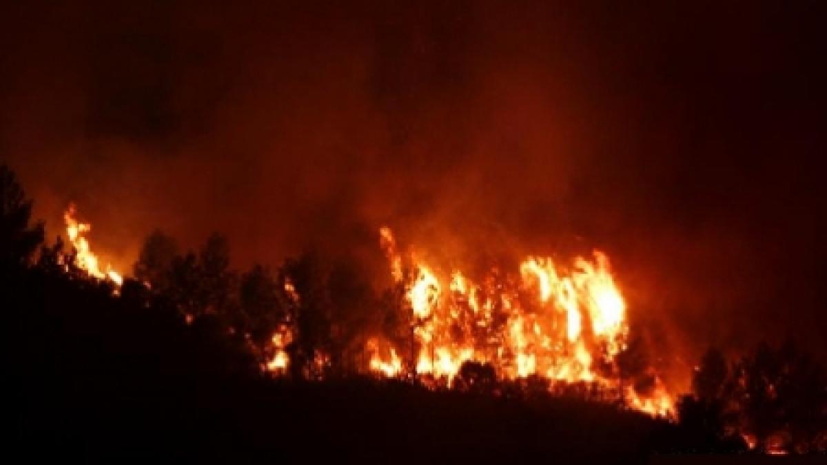 Incendii de pădure în opt judeţe. Unde sunt zonele cele mai afectate