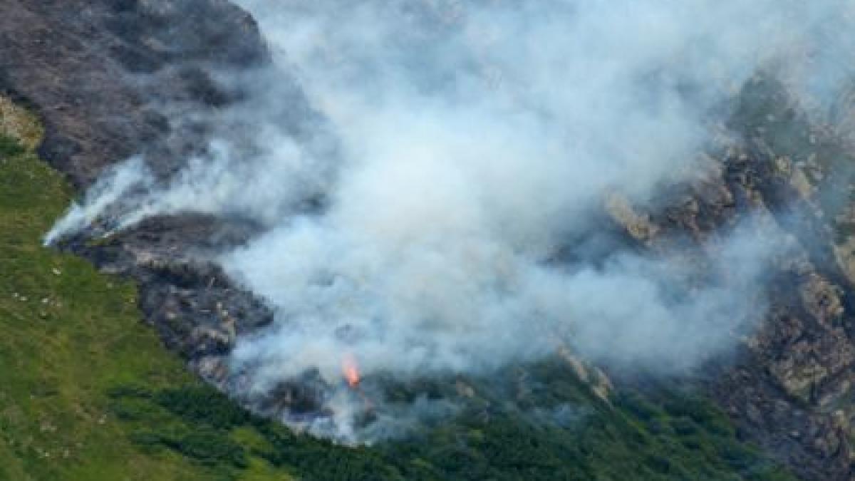 Ne ard pădurile! Sute de hectare au fost deja mistuite, iar flăcările se extind. Pompierii sunt în alertă