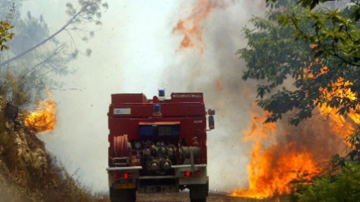 Prahova. Incendiul de ieri de pe Muntele Babeş s-a extins pe aproape 150 de hectare