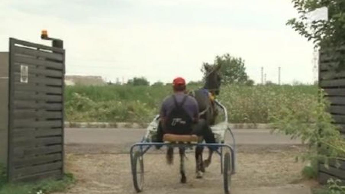 Ultimul hipodrom rămas în România stă să cadă în orice moment