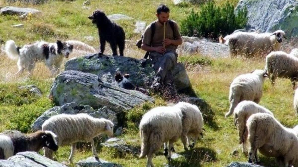 Un român fericit. Omul care a ales calea mai puţin bătătorită. El este ciobanul care a urmat trei facultăţi