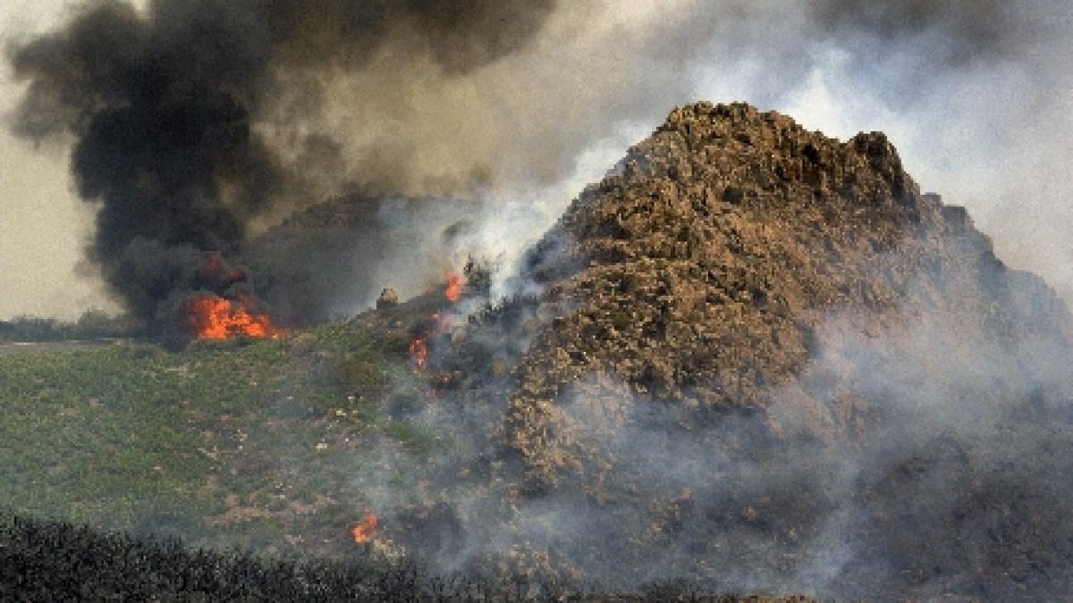 Insulele Canare. Mii de hectare de vegetaţie distruse, în urma unui incendiu de proporţii