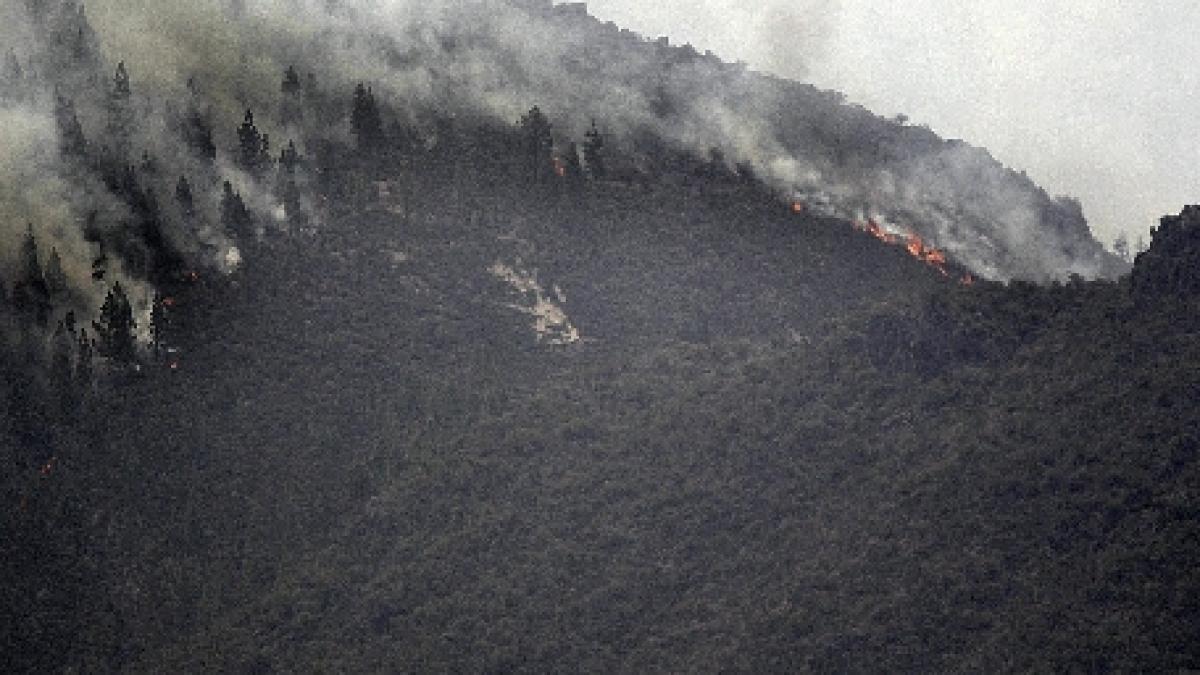 Insulele Canare. Peste 4.700 de oameni au fost evacuaţi din cauza incendiilor de vegetaţie