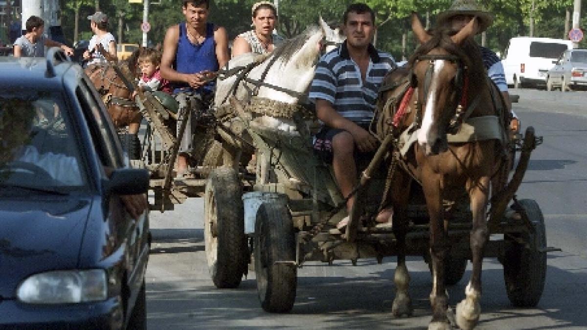 Două căruţe s-au ciocnit frontal, pe un drum naţional, în Vaslui. Ambii căruţaşi erau băuţi