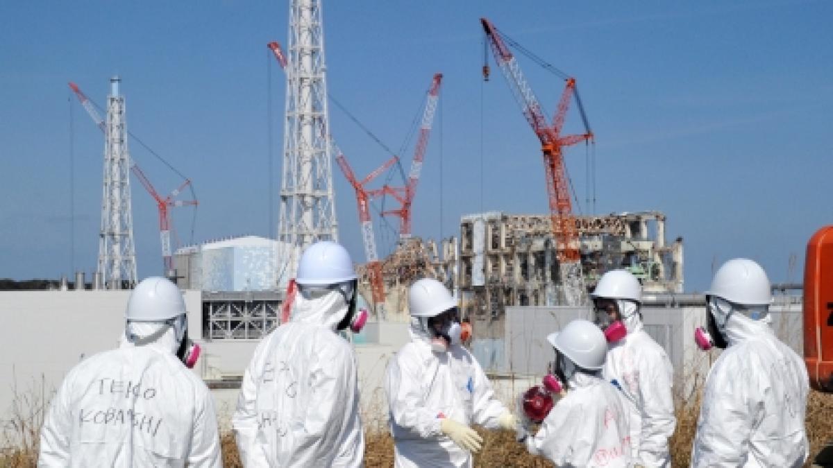 Primele dovezi ale expunerii nucleare de la Fukushima. Este incredibil cât poate afecta