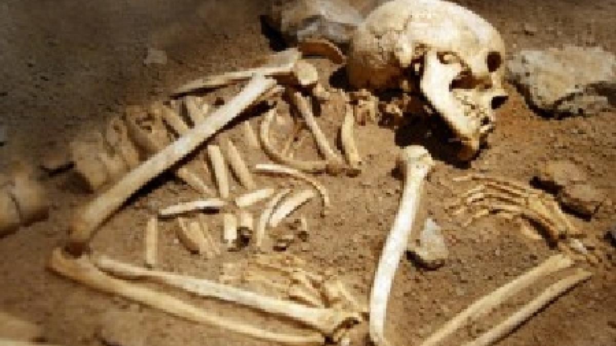 Descoperirea arheologică remarcabilă făcută lângă Ploieşti. Oseminte scoase la lumină după 5.000 de ani 