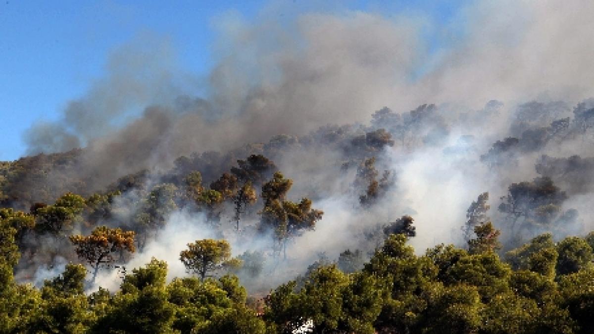 Atena. Incendiu de vegetaţie în apropierea unei baze militare