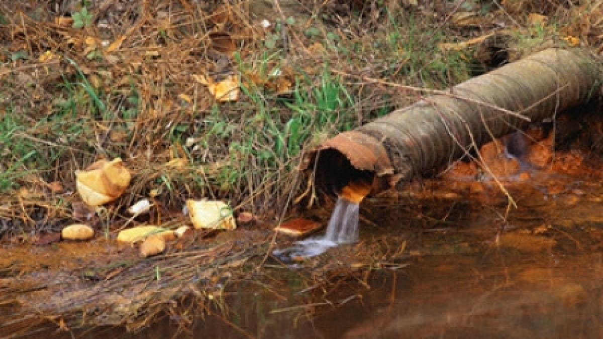 Bomba biologică din gospodărie. Peste 1.900 de localităţi din România, vulnerabile la poluarea cu nitraţi