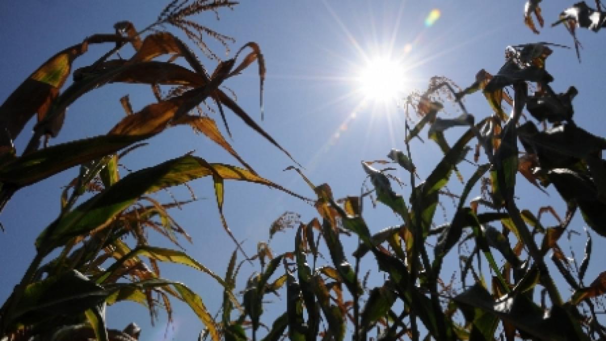 Secetă, în cea mai mare parte a regiunilor agricole. Vezi prognoza ANM