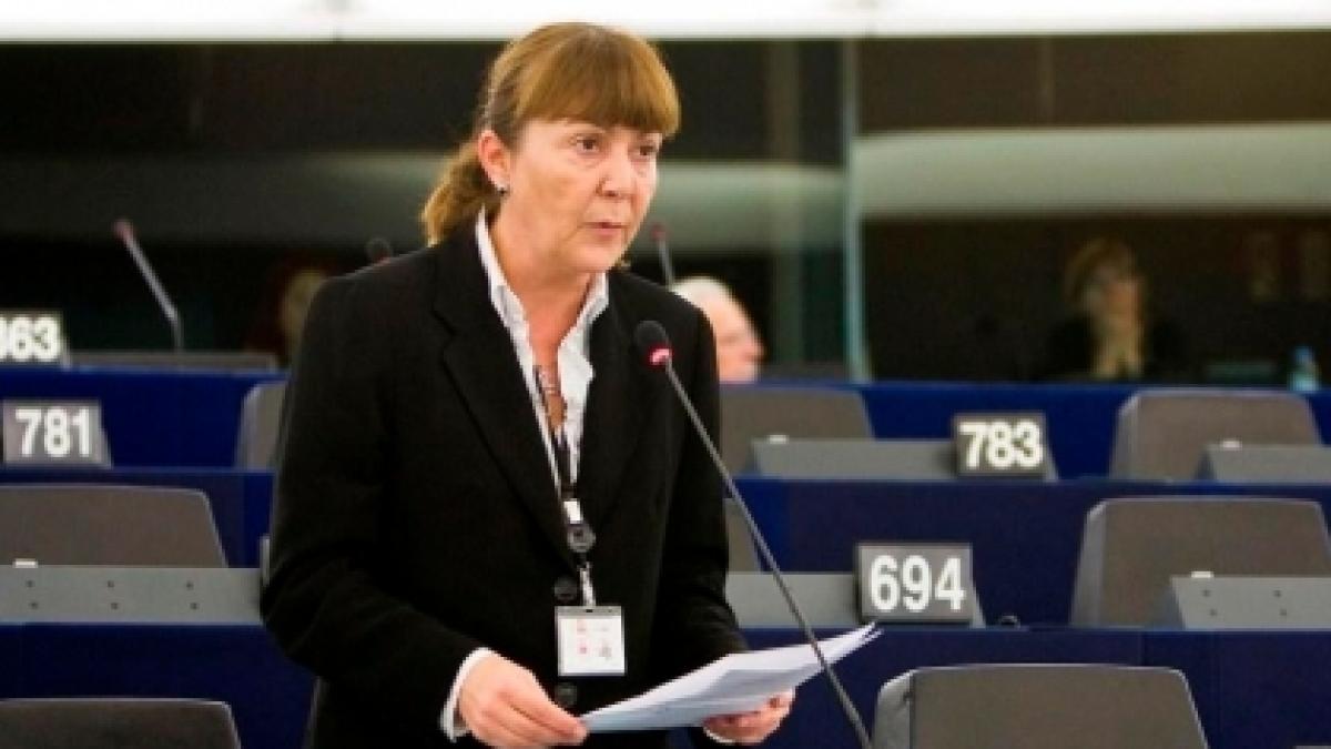 &quot;Cer ajutorul vostru pentru a restabili statul de drept în ţara mea&quot;. Macovei şi Stolojan au scris Parlamentului European