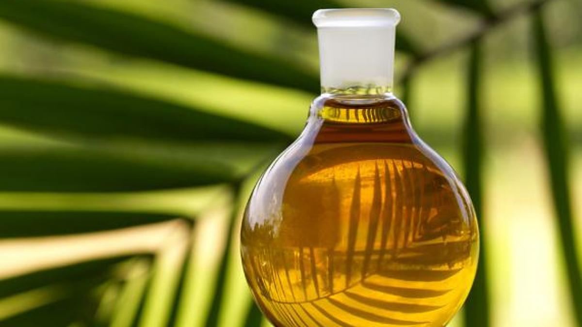 Romanian govt keen to develop entry port for palm oil