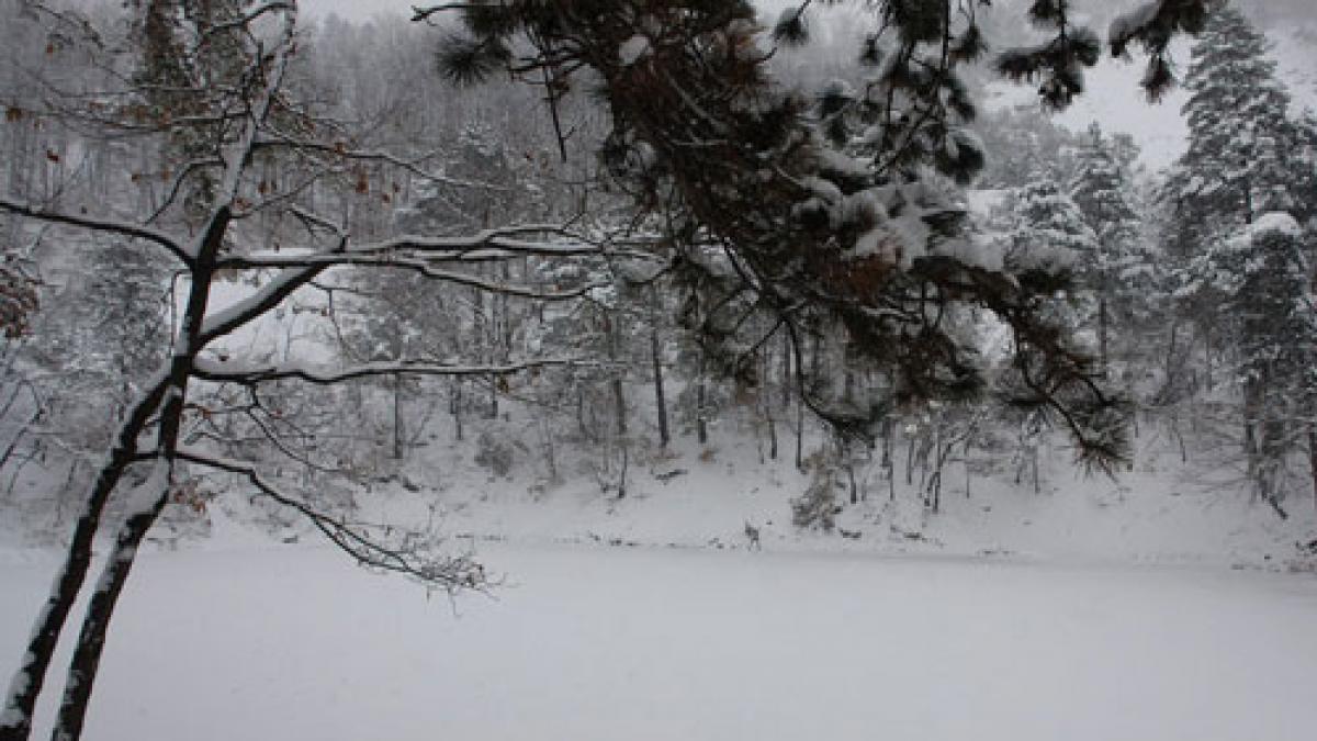 Stratul de zăpadă depăşeşte 30 de cm într-un loc din România. Vezi cât mai ţine vremea rea