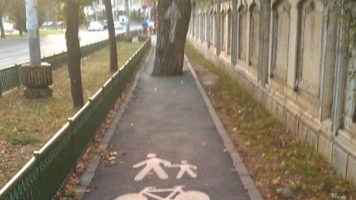 Imaginea din România care îi nedumereşte pe internauţi. Ce caută copacul în mijlocul pistei de biciclişti? 