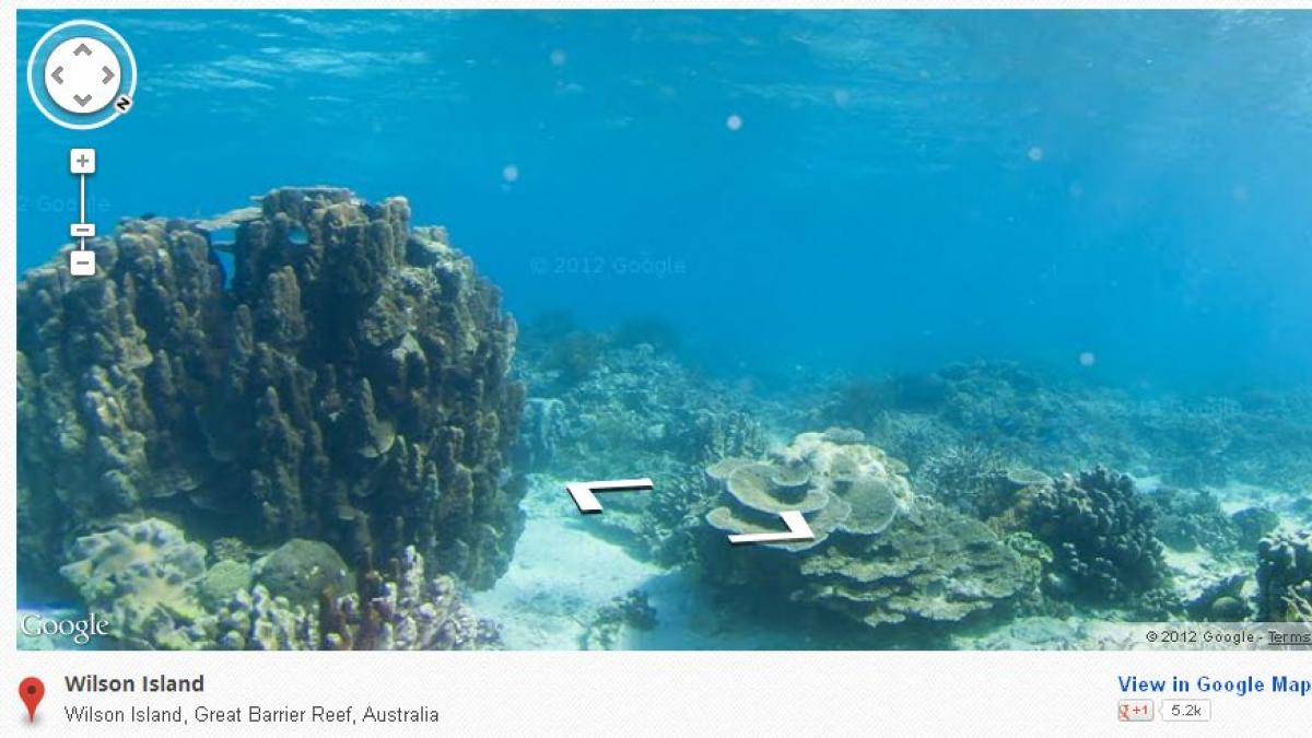 Google a publicat PRIMELE IMAGINI din adâncuri. Ce comori se află în Oceanele lumii