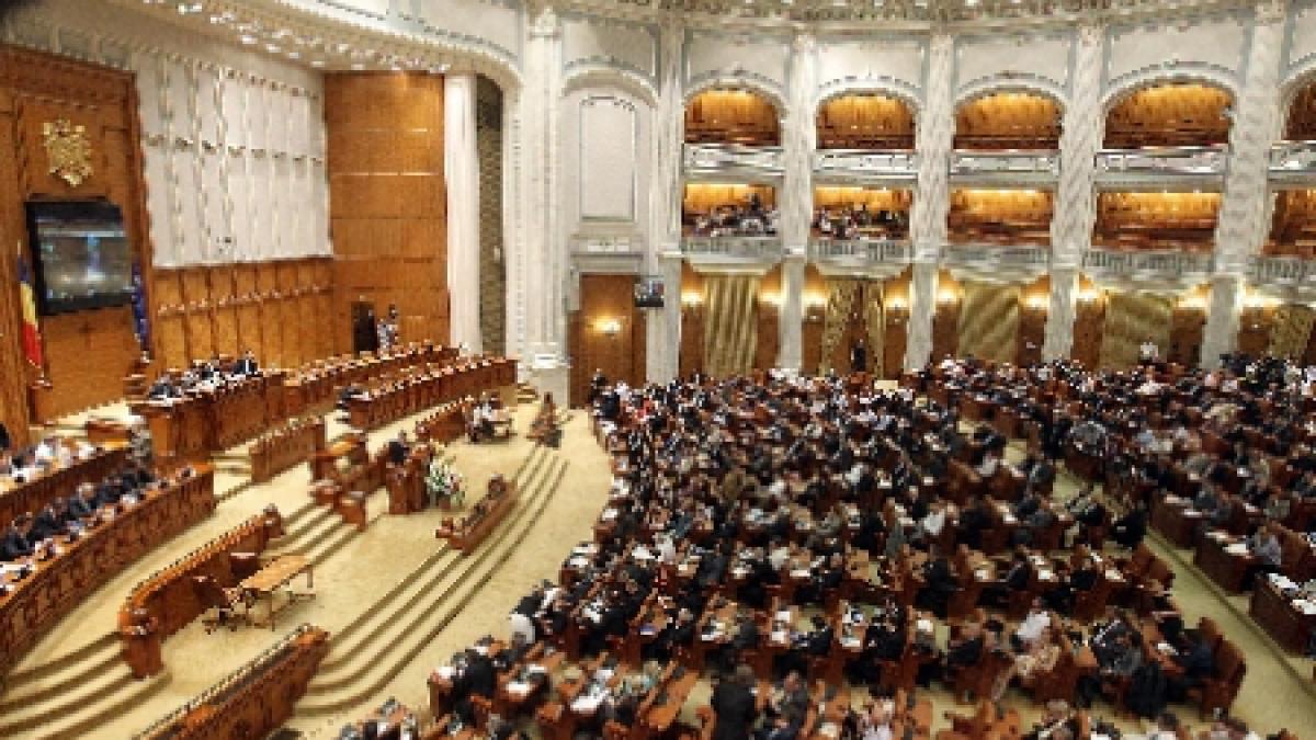 Senatul va verifica anchetele DNA privind referendumul. PDL a plecat din sală, la votarea comisiei