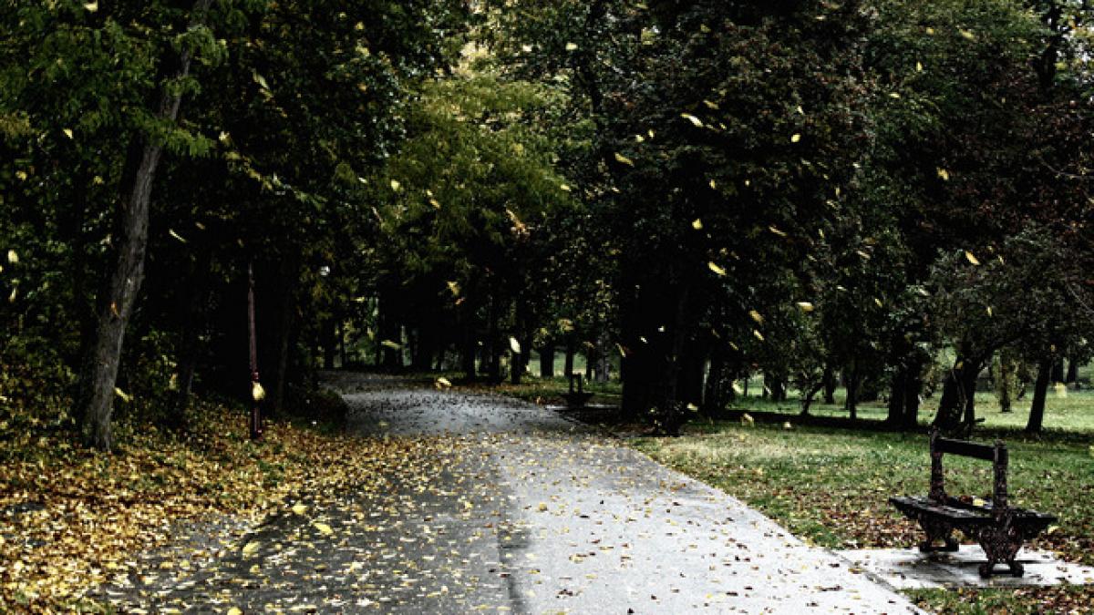 Nu se aşteptau la asta când au ieşit afară din casă. Unde s-a înregistrat cea mai scăzută temperatură din această toamnă