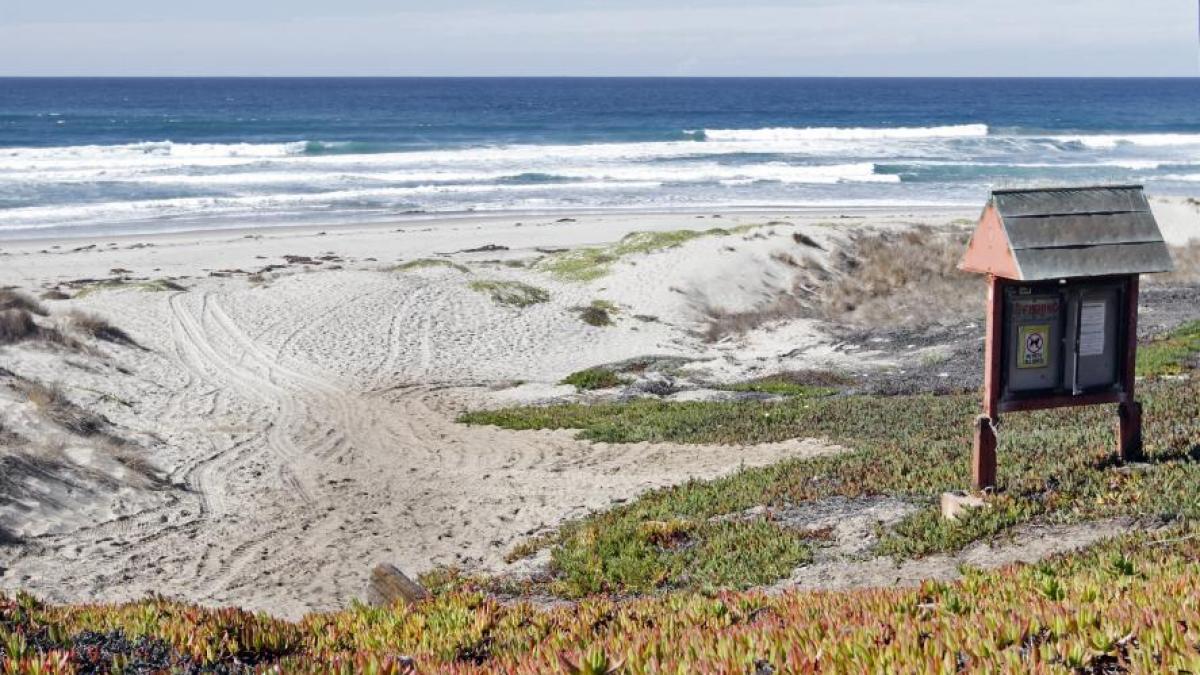 Un surfer a fost ucis de un rechin în California