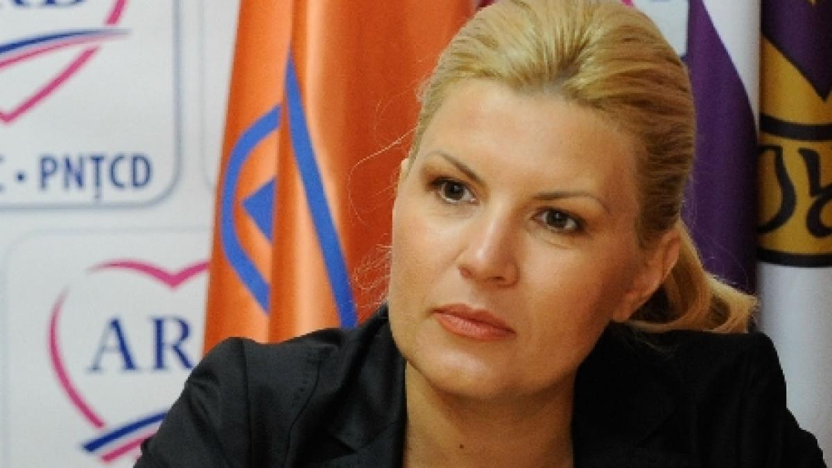 Eduard Hellvig şi Elena Udrea sunt în plin război ... pe bloguri 