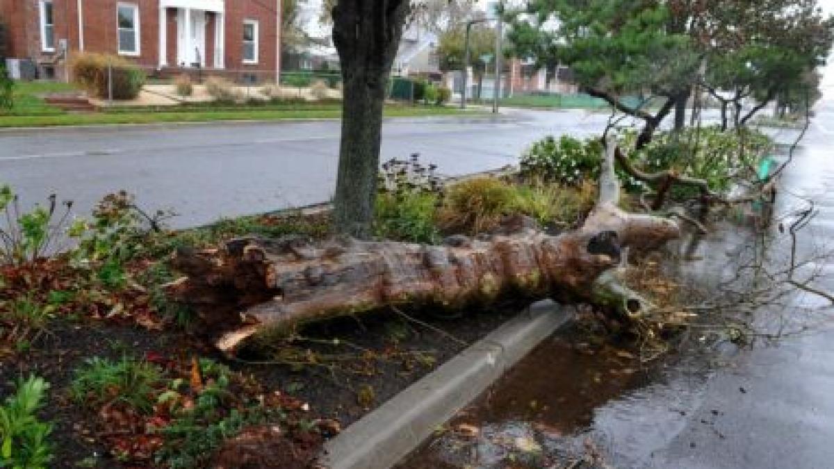 &quot;Monstrul&quot; Frankenstorm i-a îngrozit pe americani. &quot;Ne rugăm să se oprească vântul&quot;. Copacii sunt puşi la pământ ca beţele de chibrit