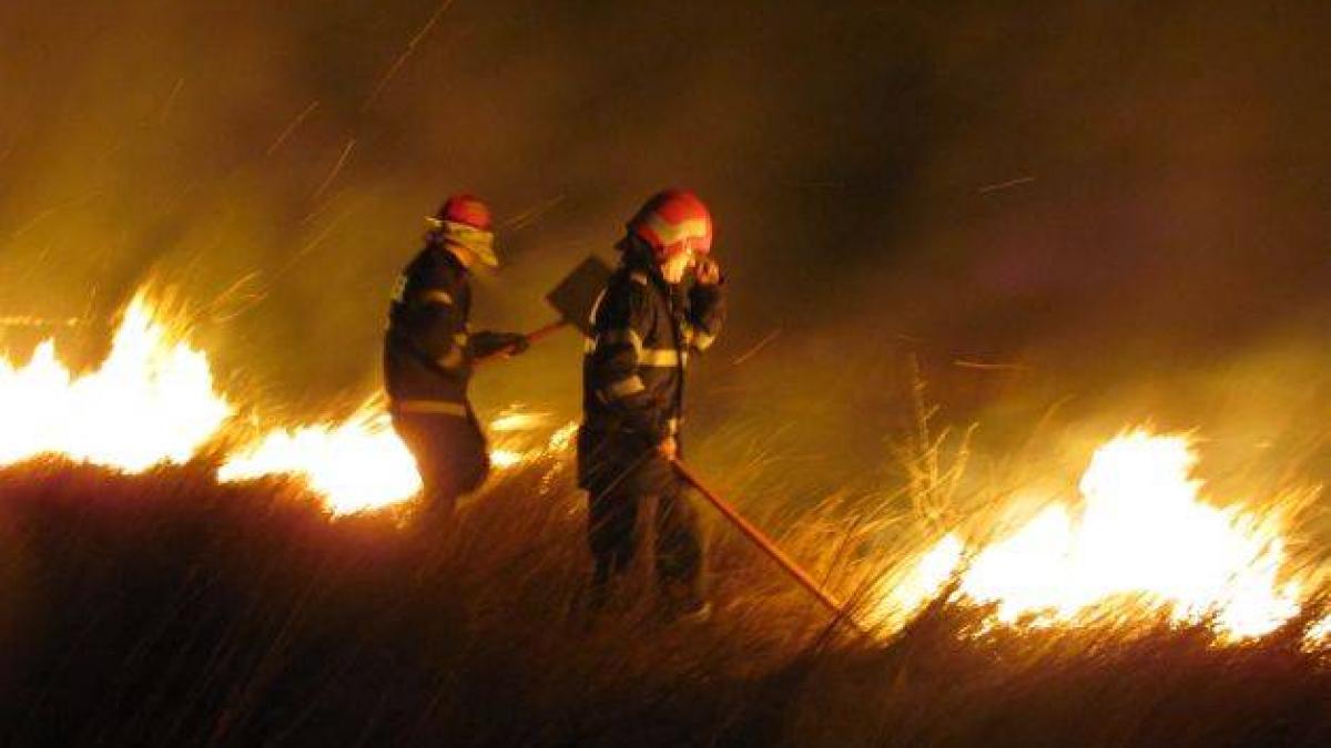 Rezervaţia naturală din Delta Dunării, mistuită de flăcări. Peste zece hectare au ars în Histria