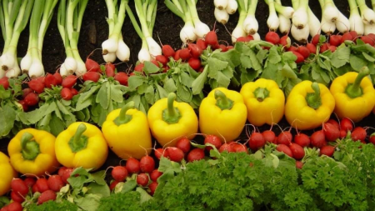 România ar putea primi sprijin de la Franţa în cazul bugetului pentru agricultură