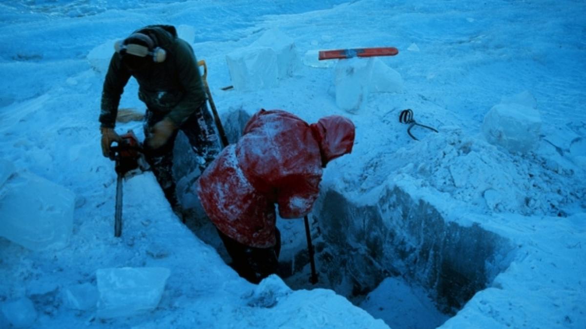 Descoperirea care deschide fereastra spre alte lumi. &quot;Vom înţelege formele de viaţă de pe alte planete&quot;