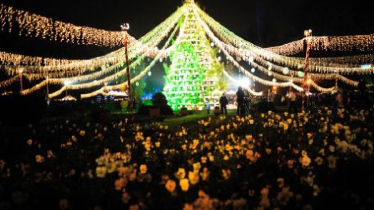 Când se aprind luminile de sărbători în Bucureşti