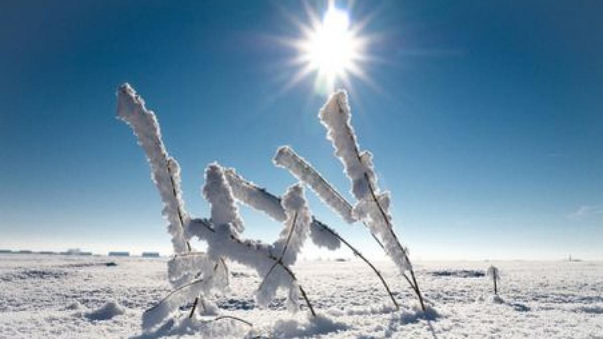 Primăvară de Crăciun. Temperaturile vor ajunge până la 17 grade. Vezi prognoza meteo