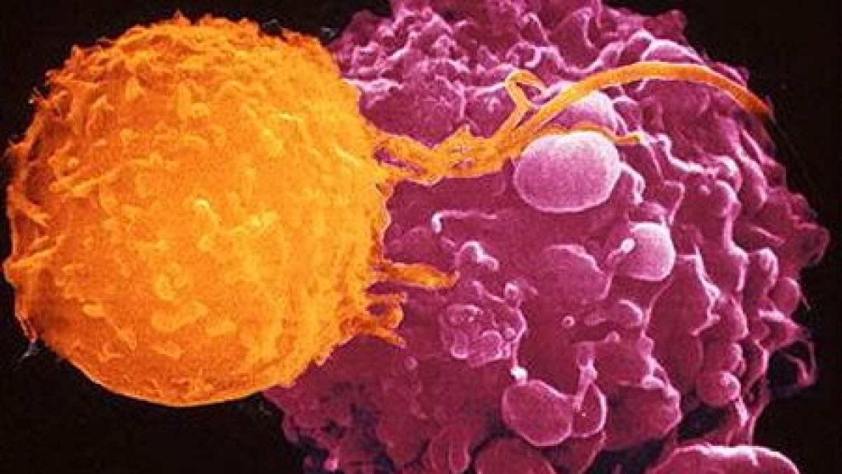 Un posibil tratament pentru cancer şi HIV a fost descoperit de oamenii de ştiinţă