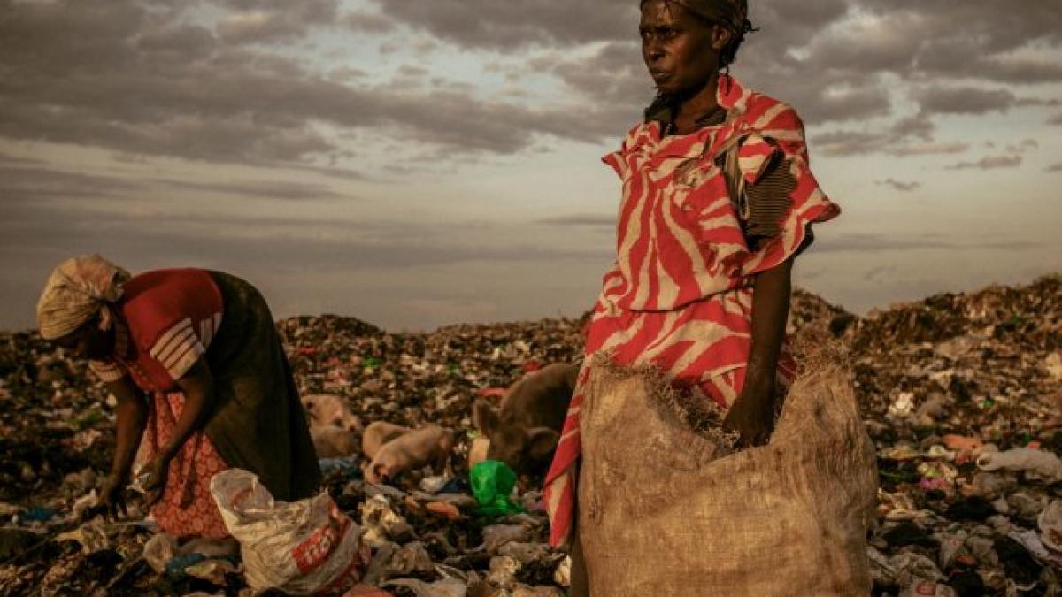 Din 22.000 de fotografii, acestea sunt cele mai frumoase, premiate de National Geographic