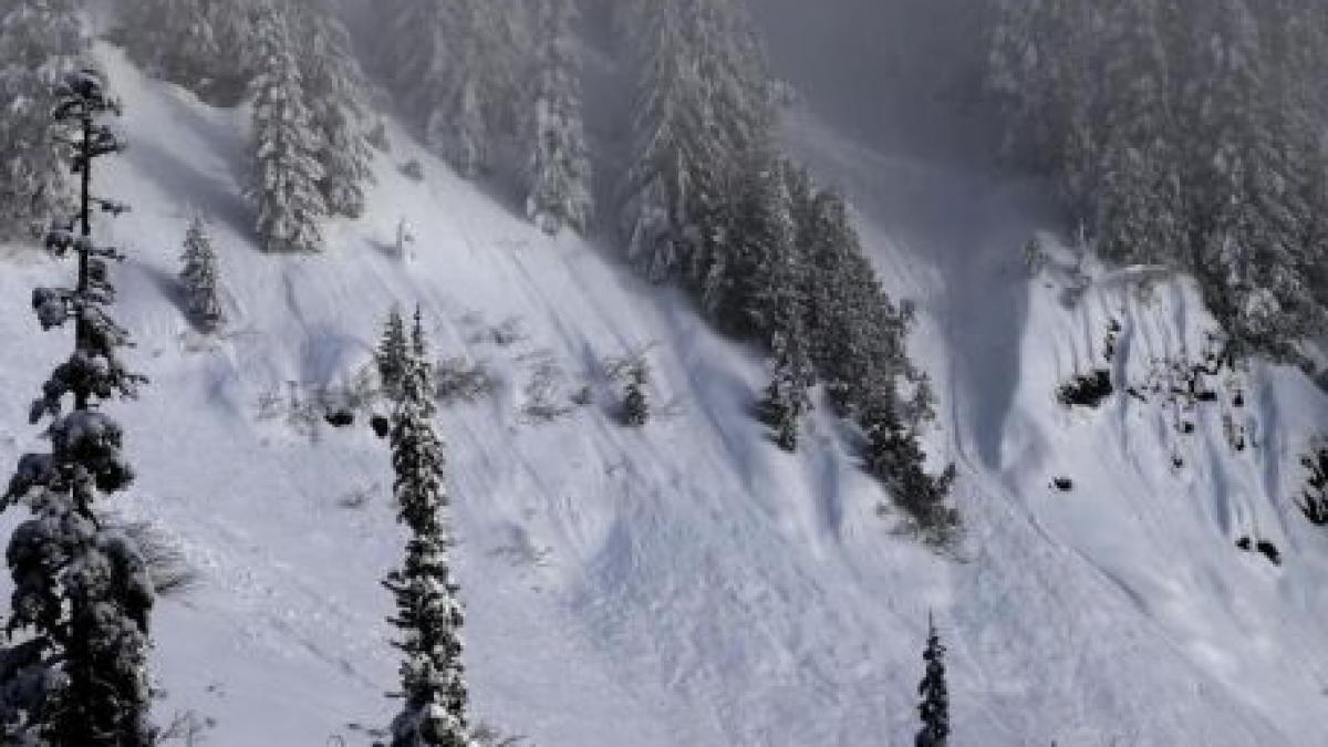 Trei salvamonţi austrieci au murit într-o avalanşă în Alpi