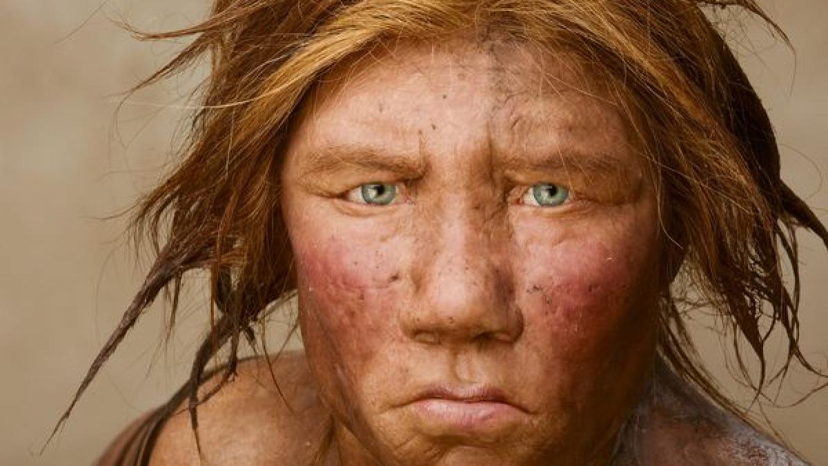 Planul controversat al oamenilor de ştiinţă. Omul de Neanderthal ar putea fi readus la viaţă 