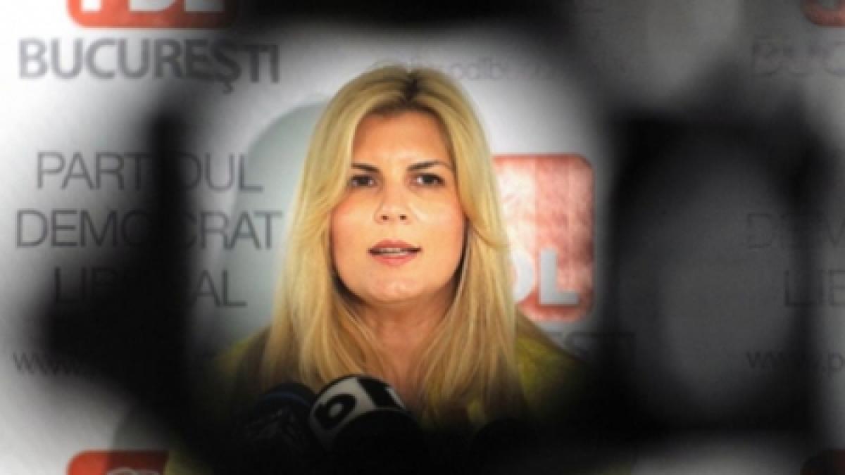 Elena Udrea - prinsă cu nereguli de către Curtea de Conturi