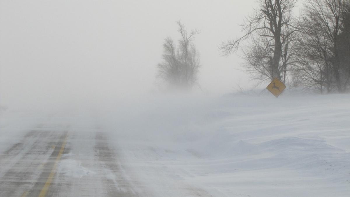 Ninsori, vânt şi polei - iarna îşi reintră în drepturi! Vezi prognoza meteo