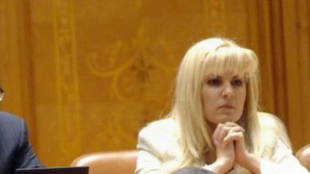 Elena Udrea: Nu avem nicio şansă să câştigăm un război cu USL. Suntem dezorientaţi