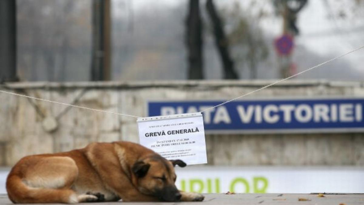 GREVĂ la metrou? Sindicaliştii Metrorex ameninţă că vor opri lucrul dacă autorităţile nu le respectă solicitările