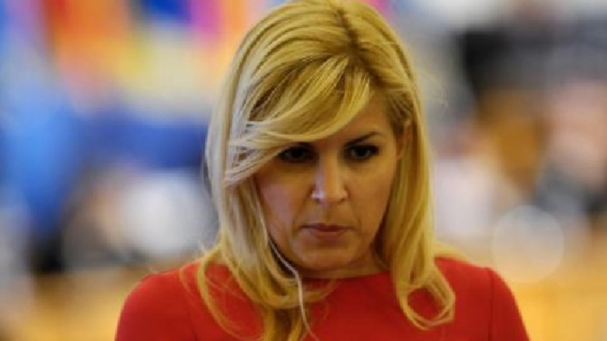 Război deschis în PDL. Vasile Blaga şi Elena Udrea, principalii actori