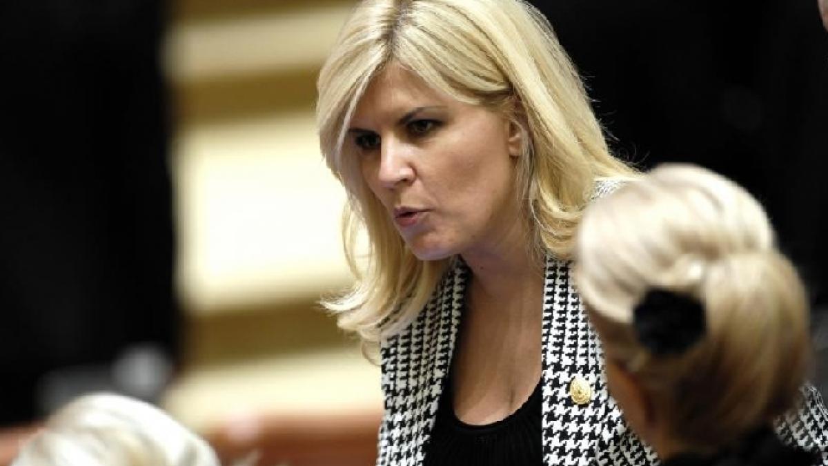 Se stabilesc taberele în bătălia pentru PDL. Organizaţia Dolj anunţă că NU o va susţine pe Elena Udrea