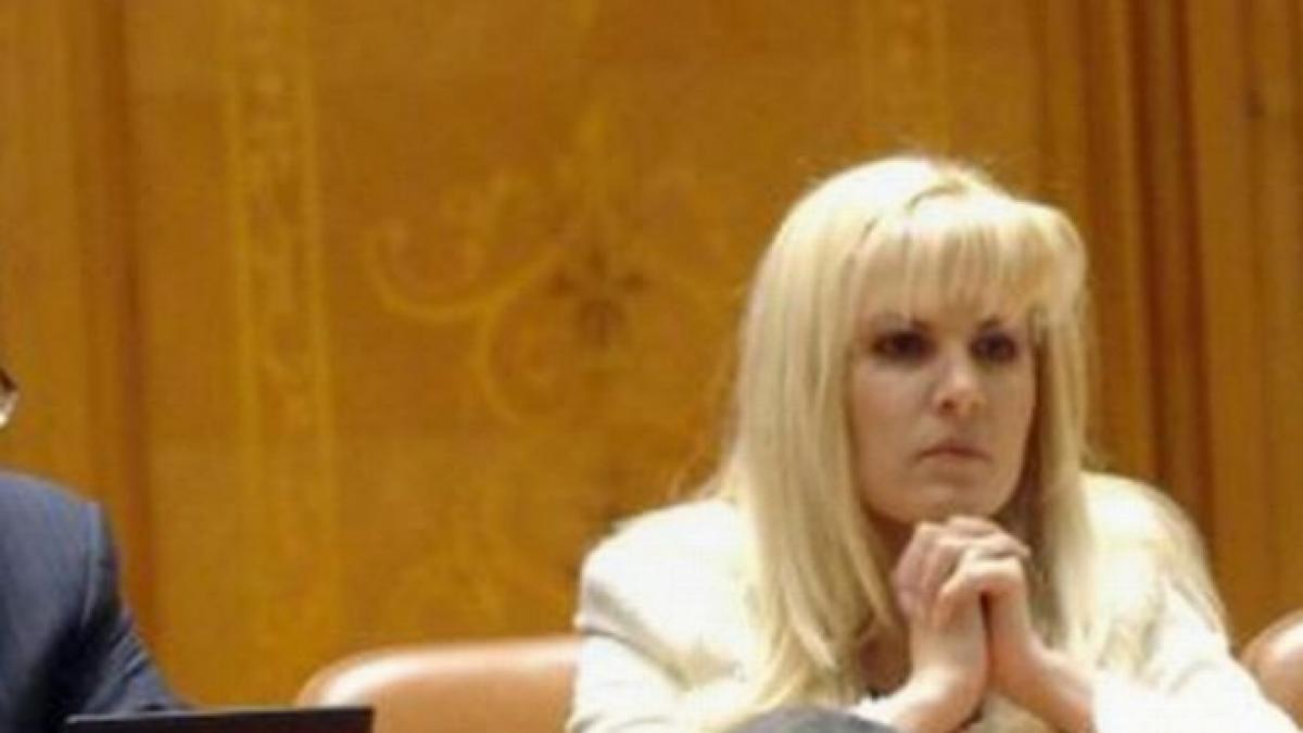 Udrea: Nu mă retrag din competiţia pentru şefia PDL cât timp competiţia e corectă