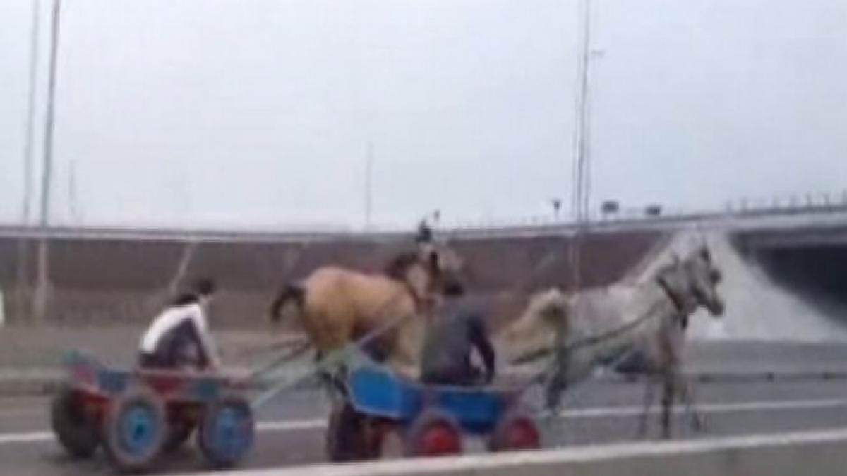 Întrecere nebună! Liniuţe între doi căruţaşi pe Autostrada Soarelui