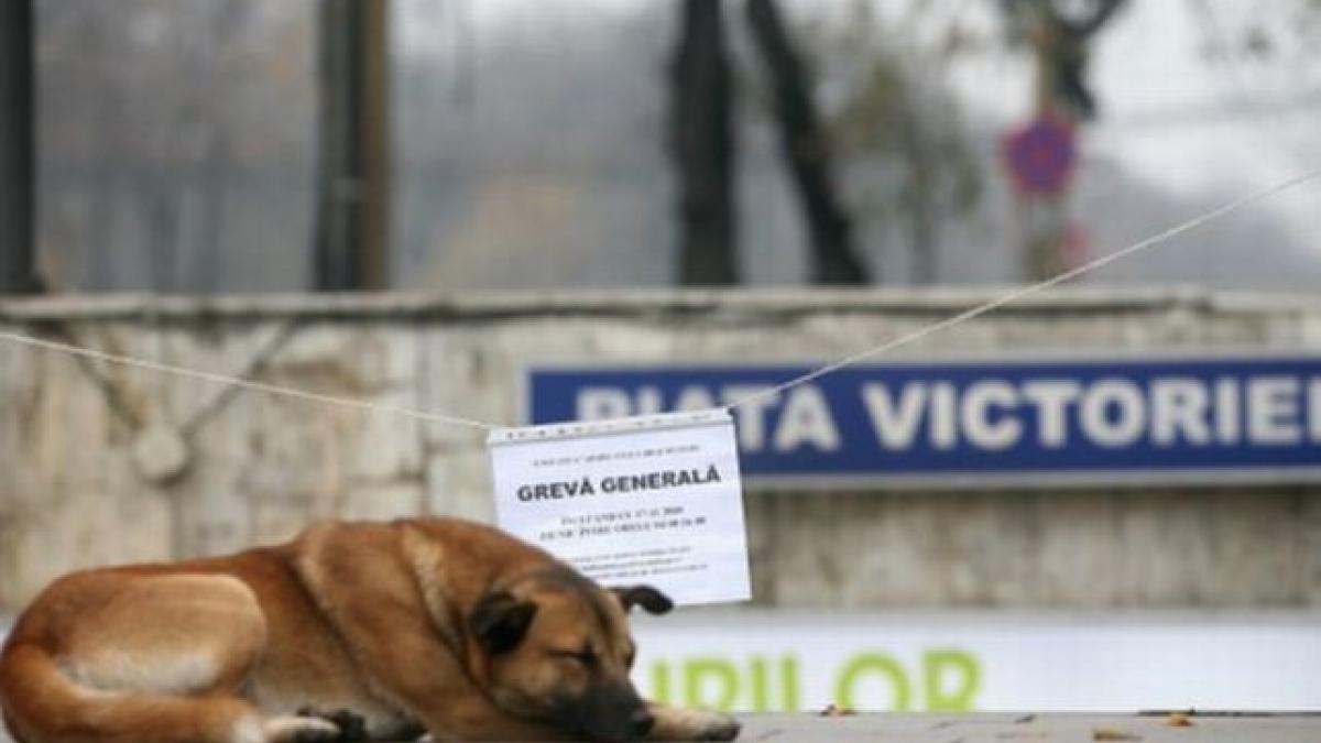 Angajaţii Metrorex vor organiza un protest săptămâna viitoare