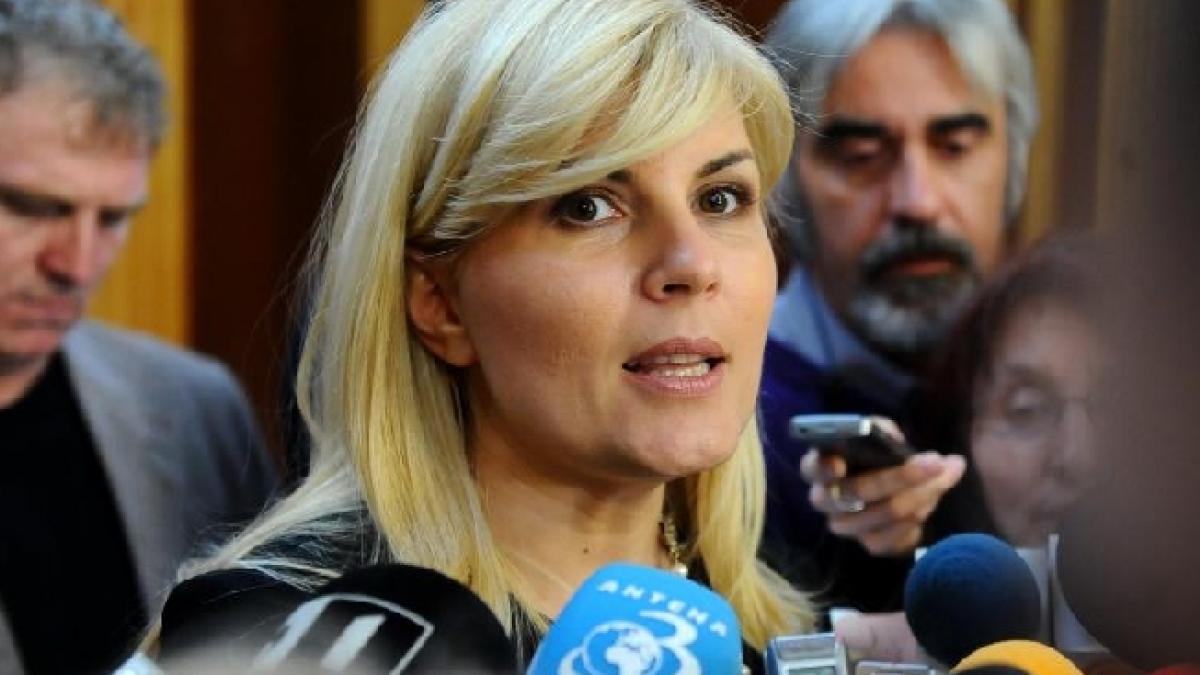 Elena Udrea: Spre deosebire de domnul Blaga, eu nu cer semnături pe relaţii personale