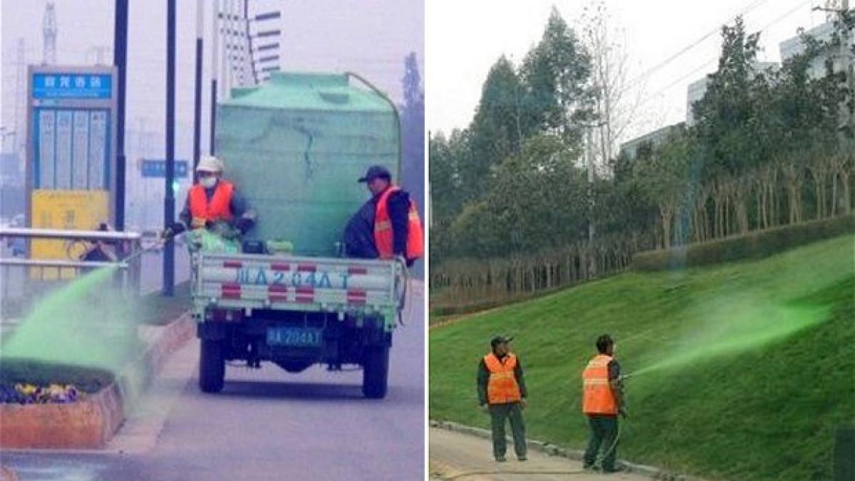 Chinezii îşi înveselesc oraşele într-un mod inedit! Vopsesc iarba cu spray verde