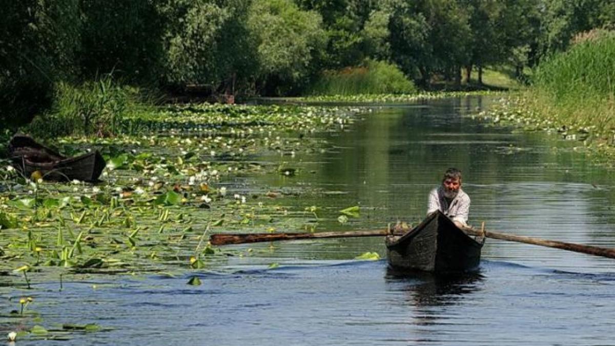 Microdelte, pe 16% din lungimea cursului Dunării. Proiectul a fost prezentat Guvernului