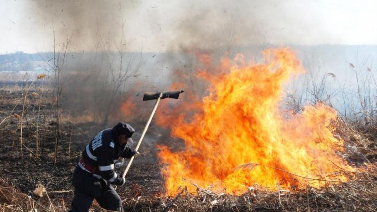 Incendiul de vegetaţie uscată, izbucnit în apropierea Autostrăzii Bucureşti-Piteşti, a fost stins