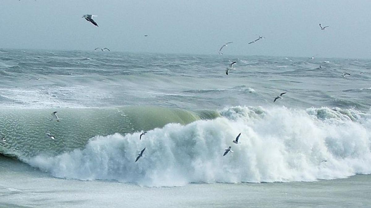 A băut bine, apoi s-a aventurat în Marea Neagră să facă o baie. A murit înecat